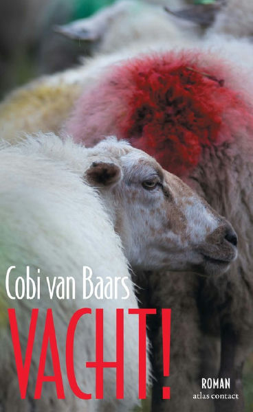 Vacht