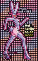 Het konijn op de maan