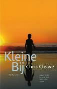Kleine Bij